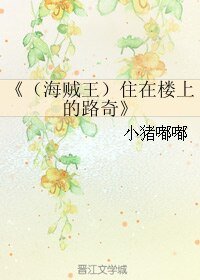 《(海贼同人)(海贼王)住在楼上的路奇》