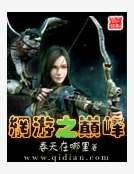 《网游之巅峰》