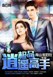 《极品逍遥高手》