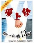 《爱上你那一年我十三岁》