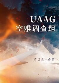《UAAG空難調查組》