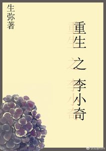 重生之李小奇