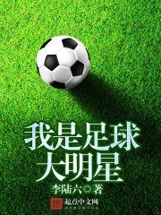 《我是足球大明星》