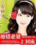 抱錯老婆嫁對郎/抱錯老婆上對牀