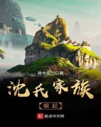 《沈氏家族崛起》
