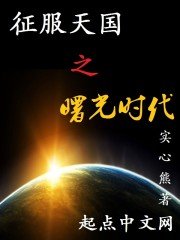 《征服天国之曙光时代》