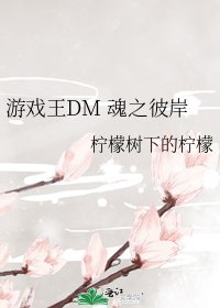 《游戏王DM 魂之彼岸》