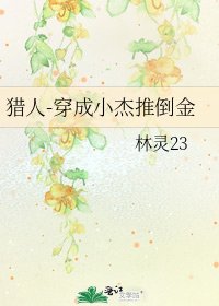 《猎人-穿成小杰推倒金》