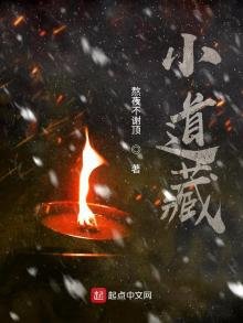 《小道藏》