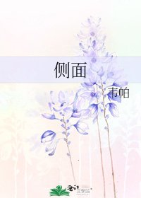 《侧面》