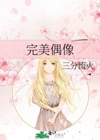 《完美偶像》