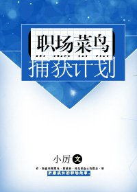 《职场菜鸟捕获计划》