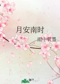《月安南时》