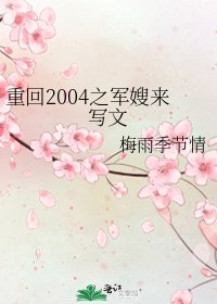 《重回2004之军嫂来写文》