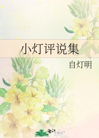 《小灯评说集》