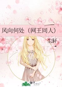 《风向何处(网王同人)》