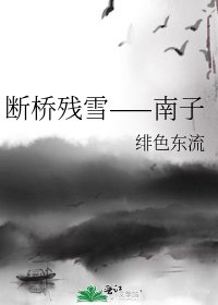 《断桥残雪——南子》