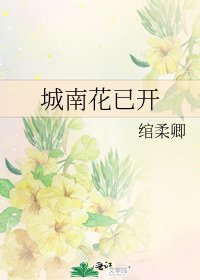 《城南花已开》