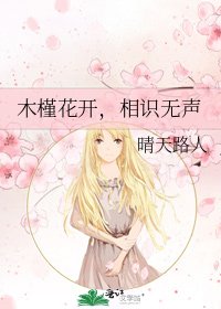《木槿花开,相识无声》