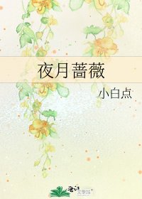 《夜月蔷薇》