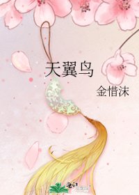 《天翼鸟》