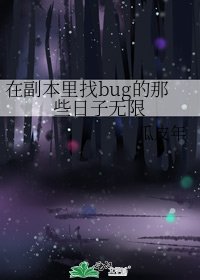 《在副本里找bug的那些日子无限》
