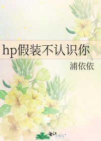 (HP同人)hp假装不认识你