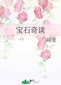 《寶石奇談》