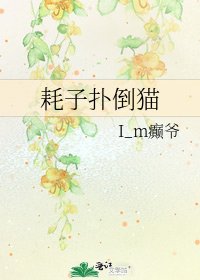 《耗子扑倒猫》