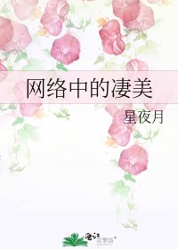 《网络中的凄美》
