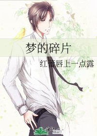 《夢的碎片》