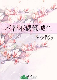 《不若不遇倾城色》