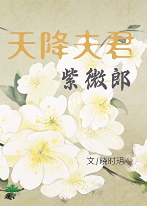 天降夫君紫微郎