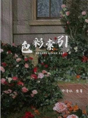 《色彩索引》