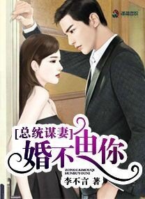 《陸少謀妻之婚不由你/總統謀妻:婚不由你》