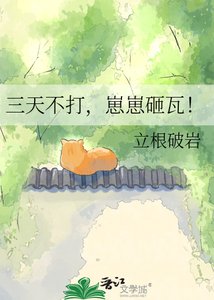 《三天不打,崽崽砸瓦!》