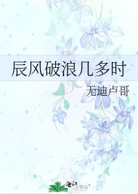 《辰风破浪几多时》