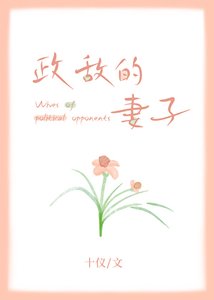 《政敌的妻子》