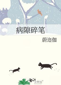 病隙碎笔