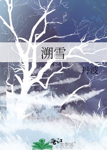 《溯雪》
